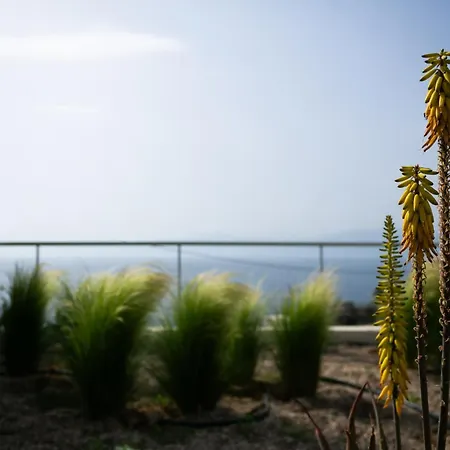 Physis Fokida Villa *